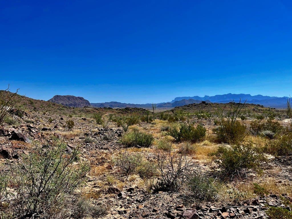 10 acres in Brewster County - photo 6