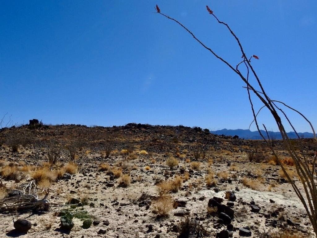 10 acres in Brewster County - photo 14