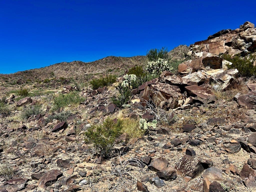 10 acres in Brewster County - photo 27
