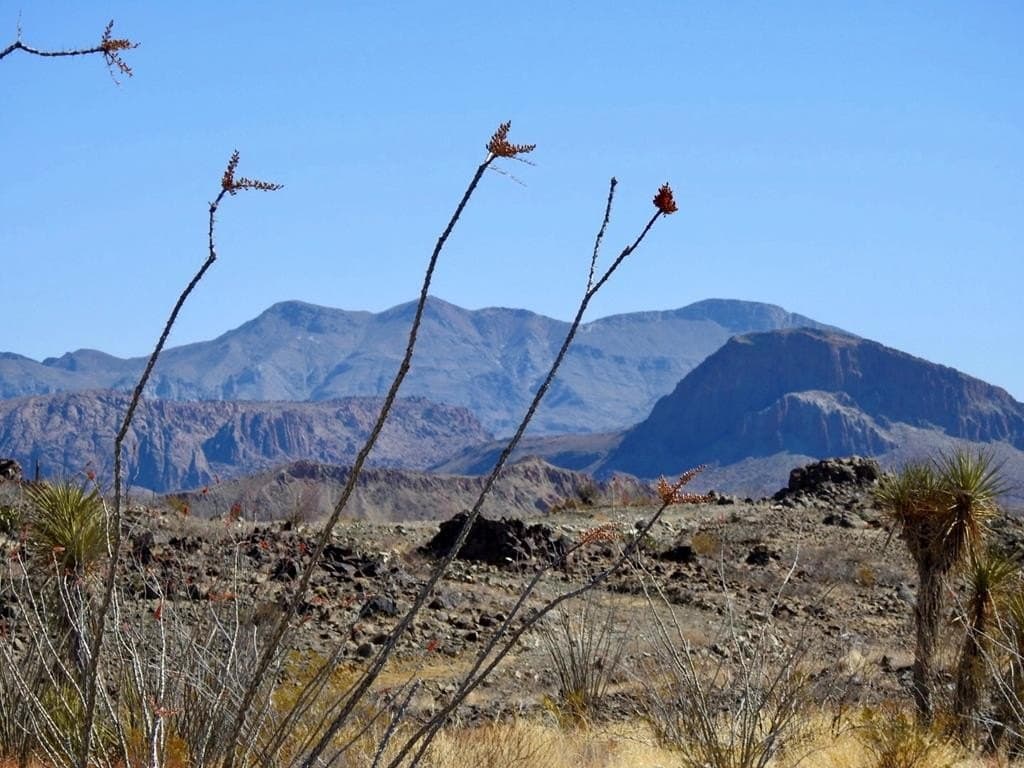 10 acres in Brewster County - photo 18