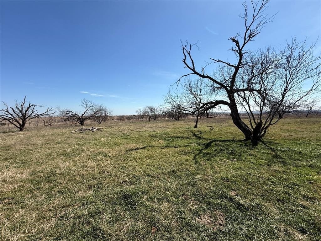 46 acres in Hamilton County - photo 11