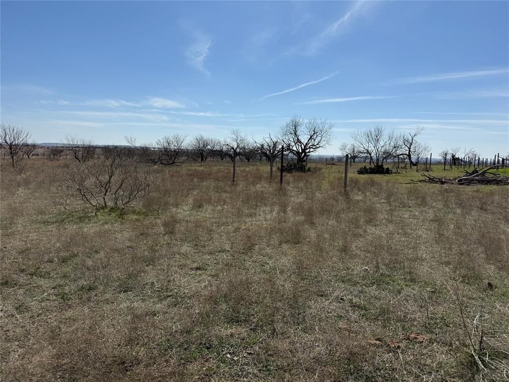 46 acres in Hamilton County - photo 19