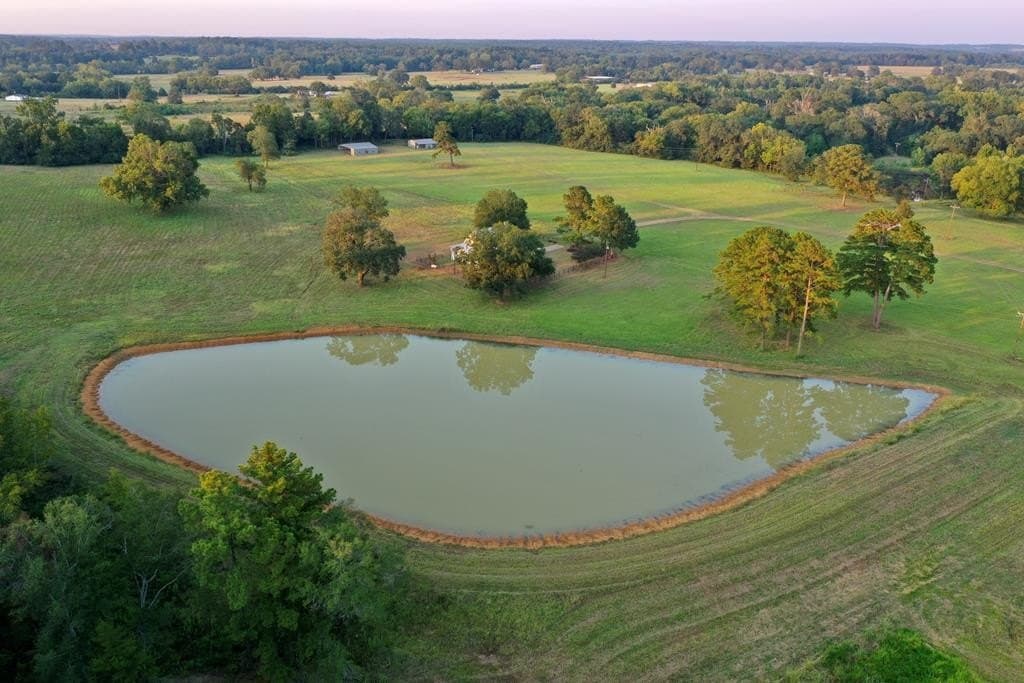 43.11 acres in HOUSTON County - photo 48