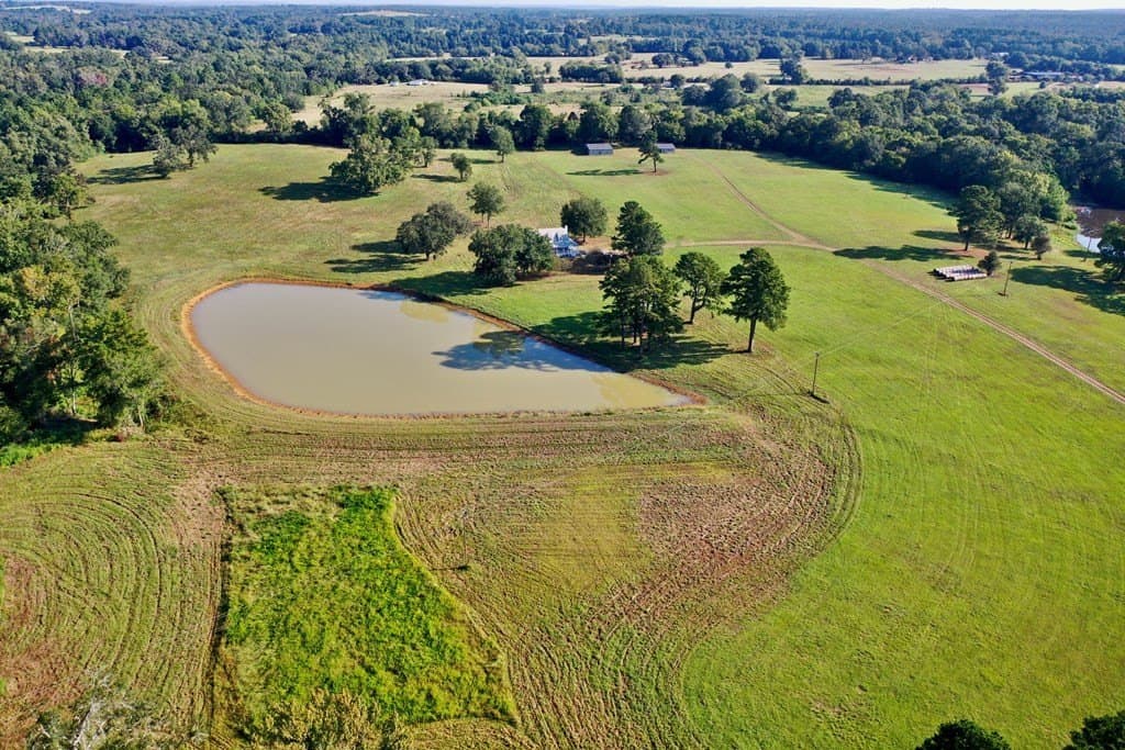 43.11 acres in HOUSTON County - photo 5