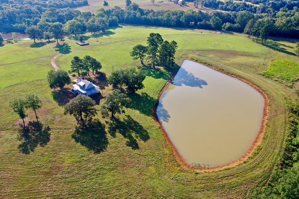 43.11 acres in HOUSTON County - photo 3