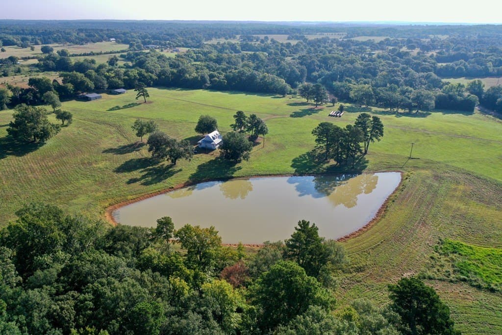 43.11 acres in HOUSTON County - photo 4