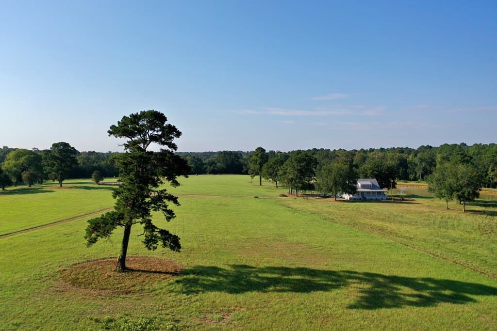 43.11 acres in HOUSTON County - photo 39