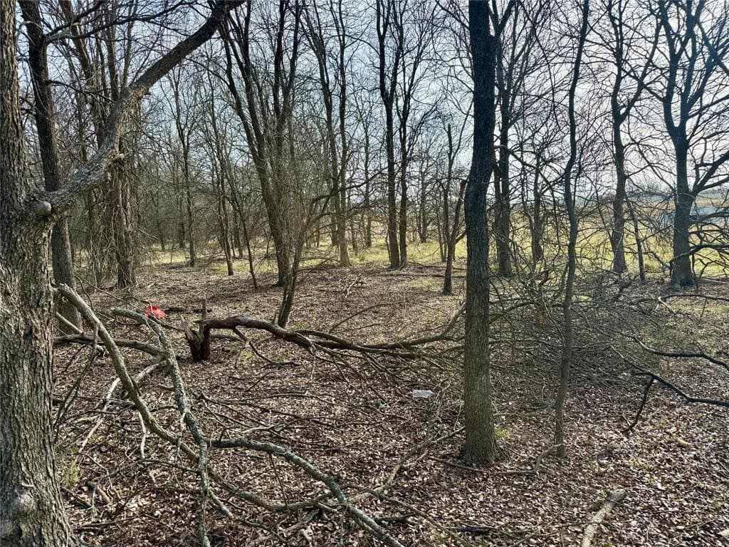 3.82 acres in Hill County - photo 9