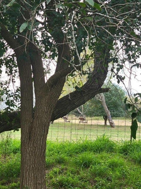 17.88 acres in San Patricio County - photo 20