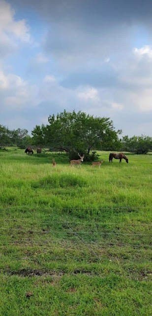 17.88 acres in San Patricio County - photo 2