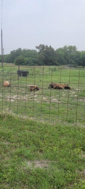 17.88 acres in San Patricio County - photo 12