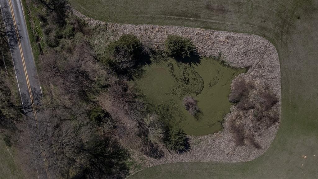 22.6 acres in Fannin County - photo 10