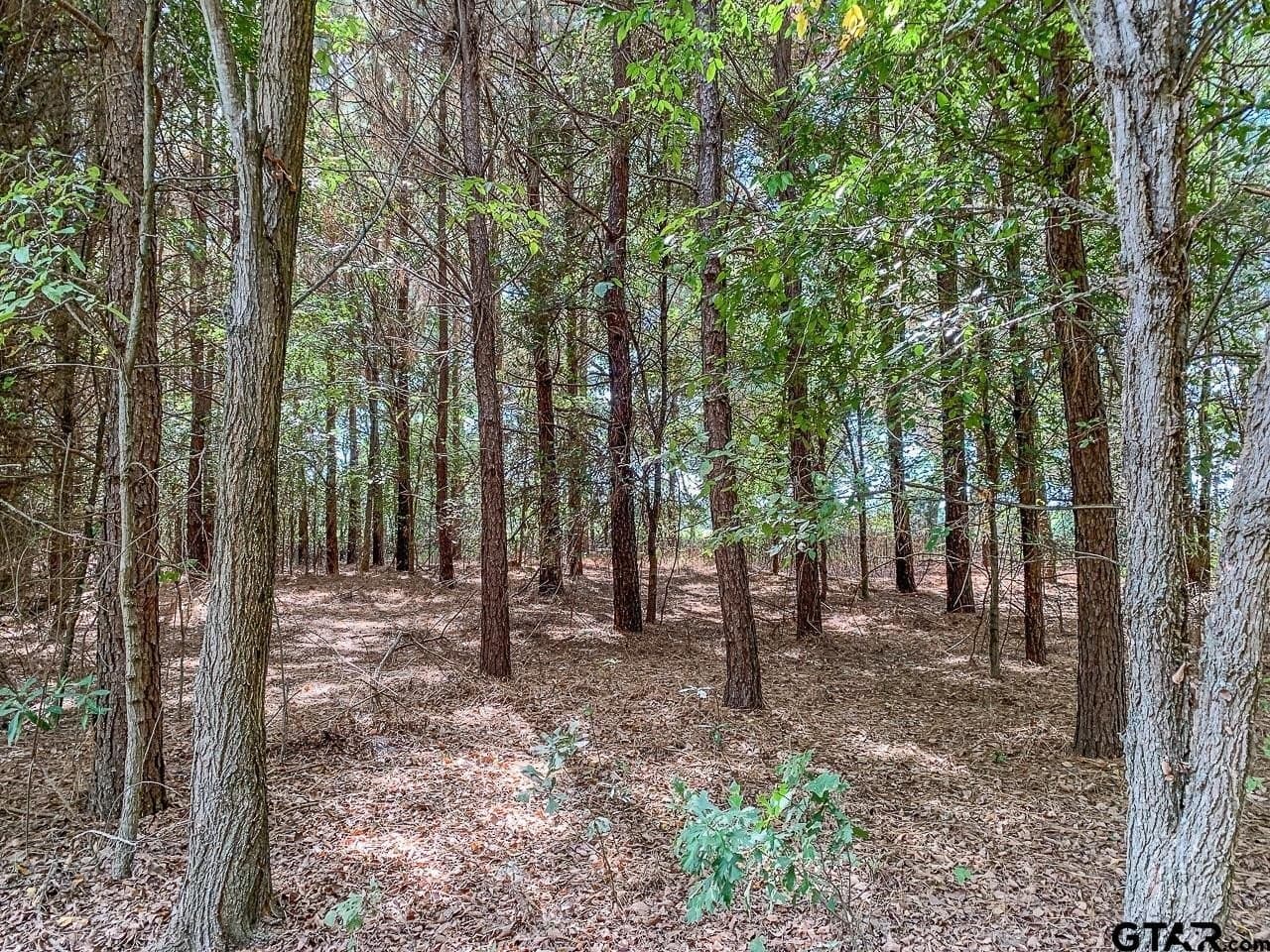 80 acres in Franklin County - photo 35
