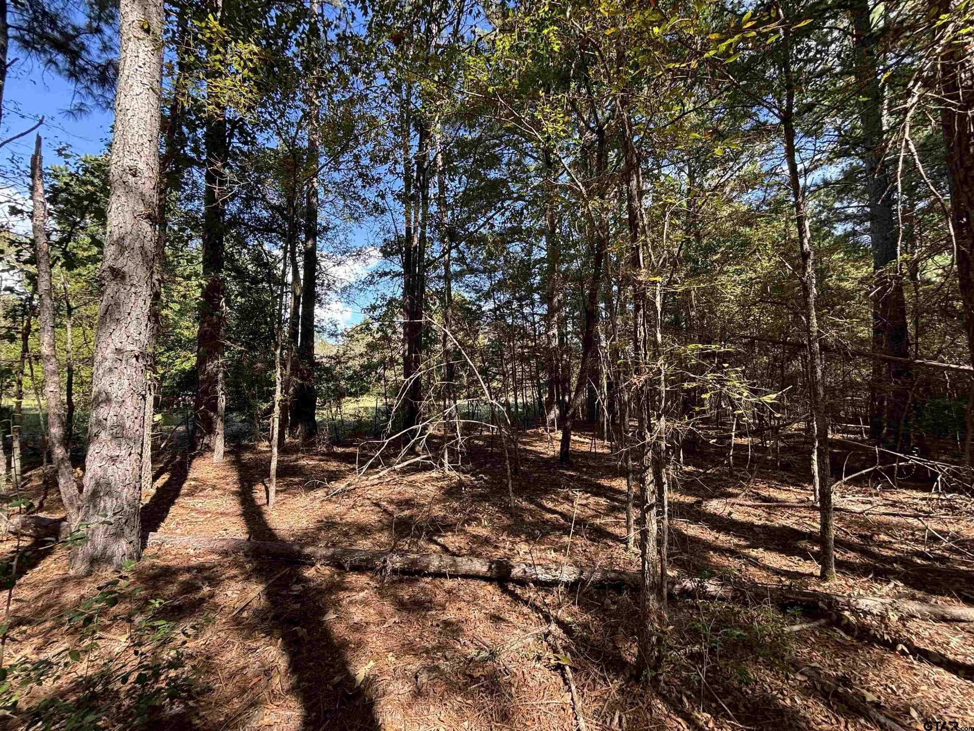 38 acres in Anderson County - photo 13