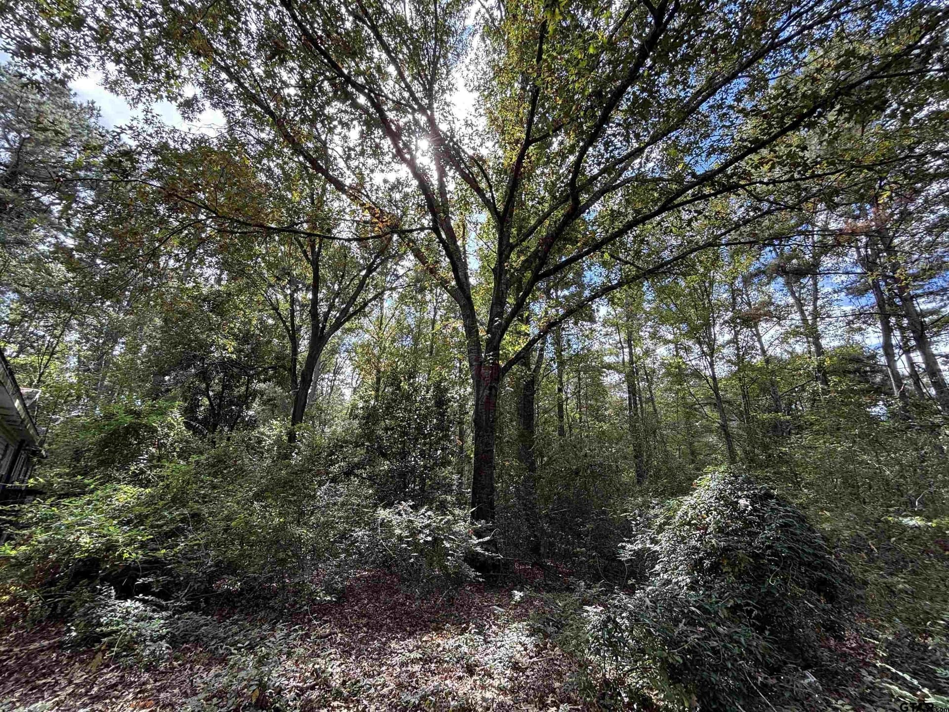 38 acres in Anderson County - photo 4