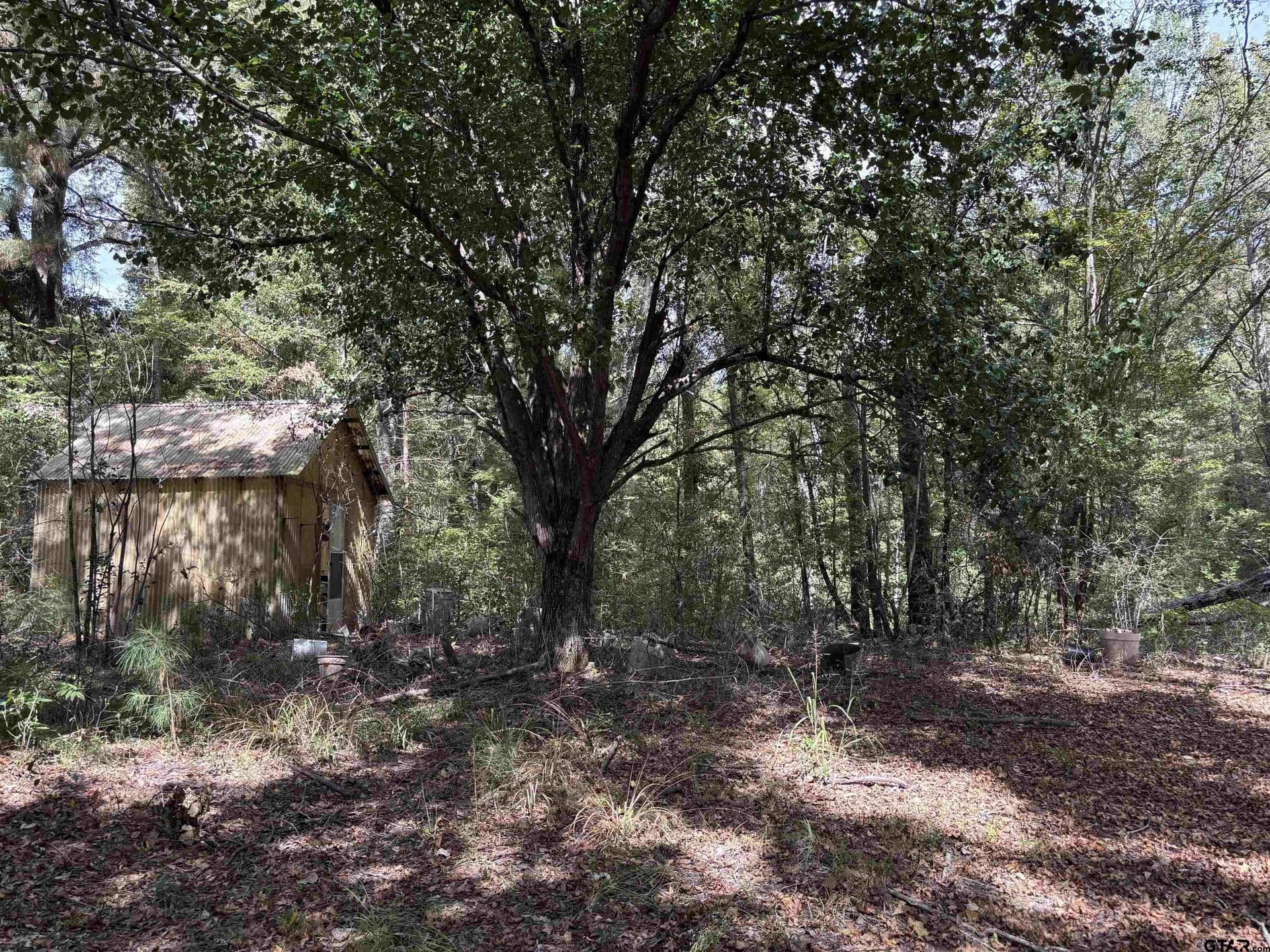 38 acres in Anderson County - photo 3