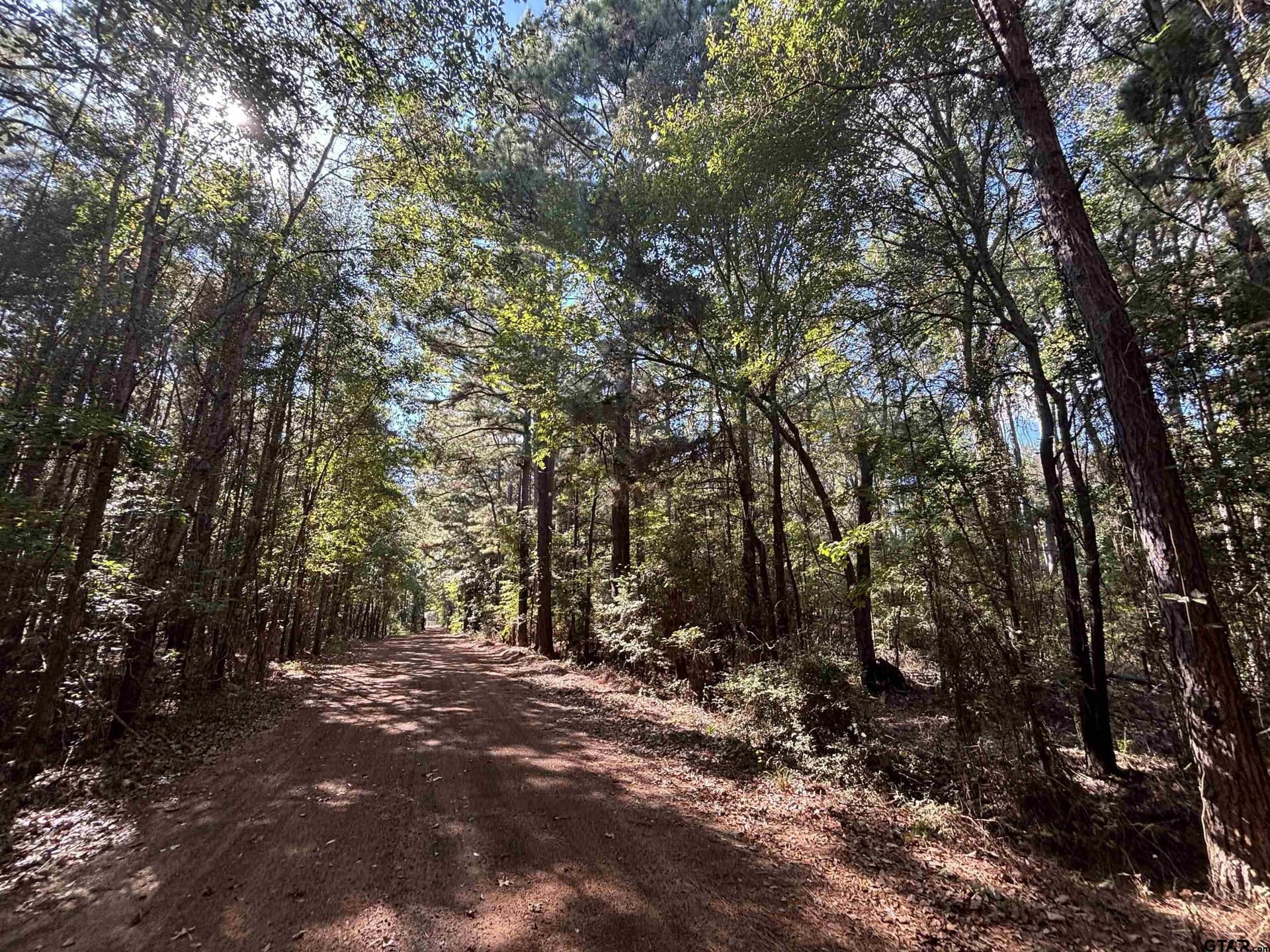 38 acres in Anderson County - photo 16