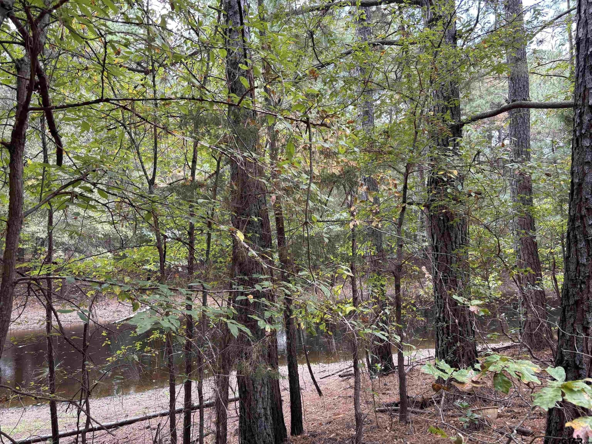 38 acres in Anderson County - photo 14