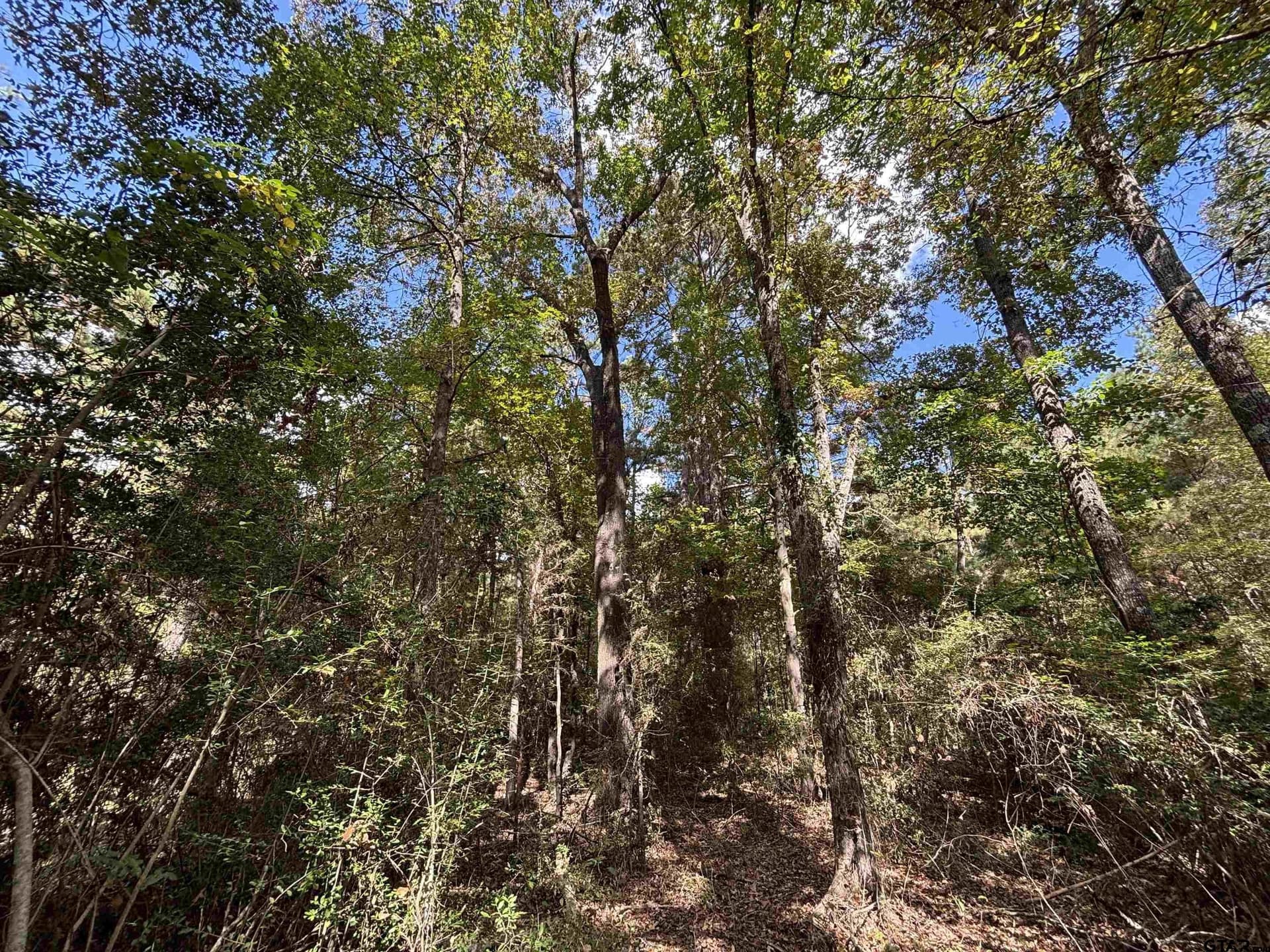 38 acres in Anderson County - photo 10
