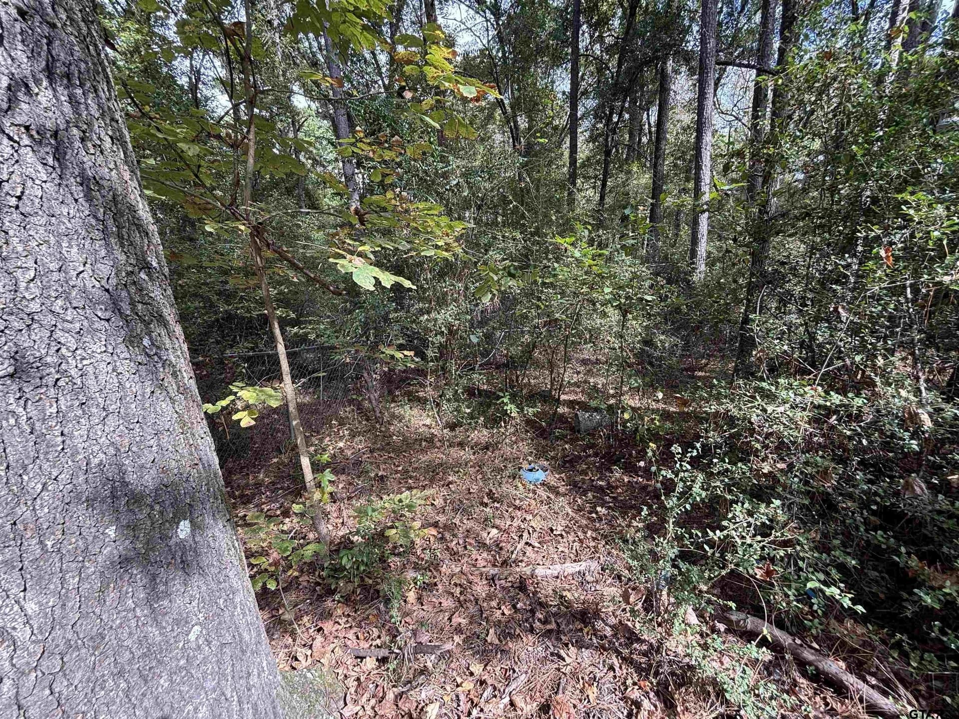 38 acres in Anderson County - photo 8