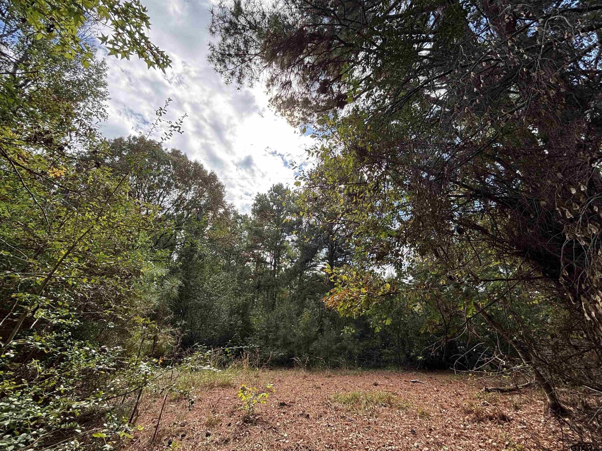 38 acres in Anderson County - photo 2