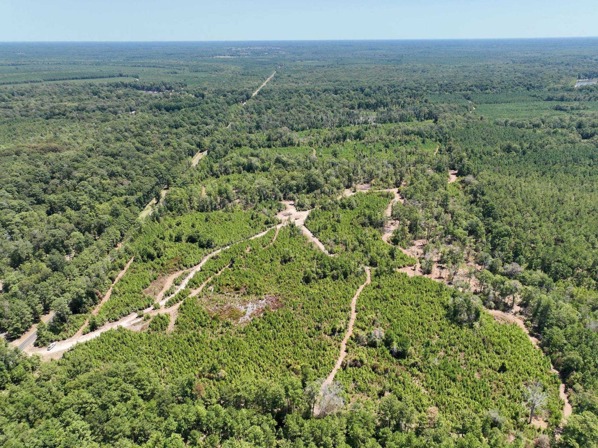 30 acres in Texas County - photo 12