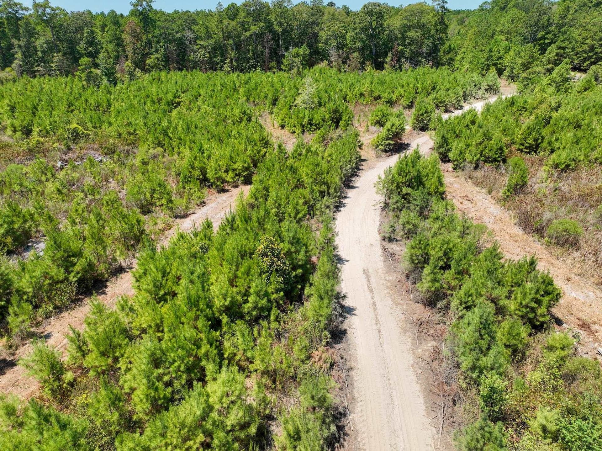 30 acres in Texas County - photo 11