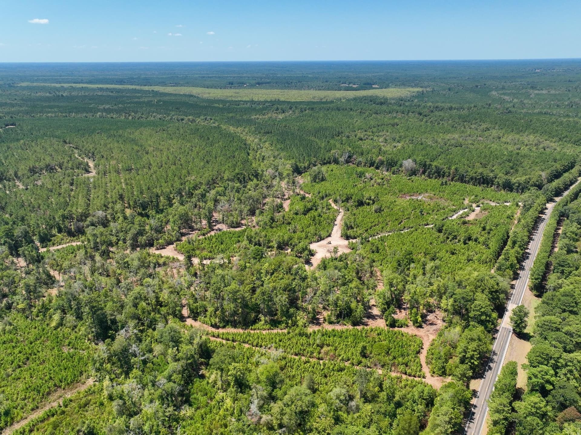 30 acres in Texas County - photo 13