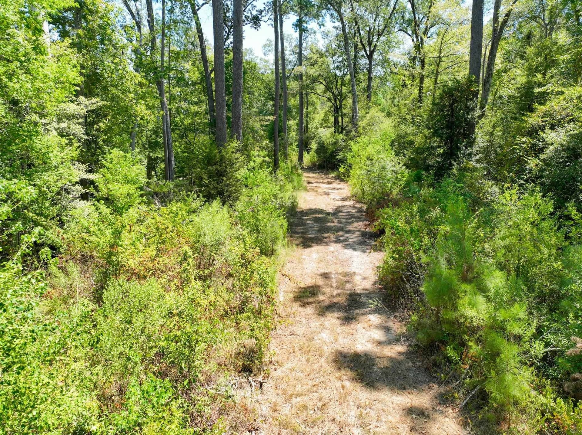 30 acres in Texas County - photo 8