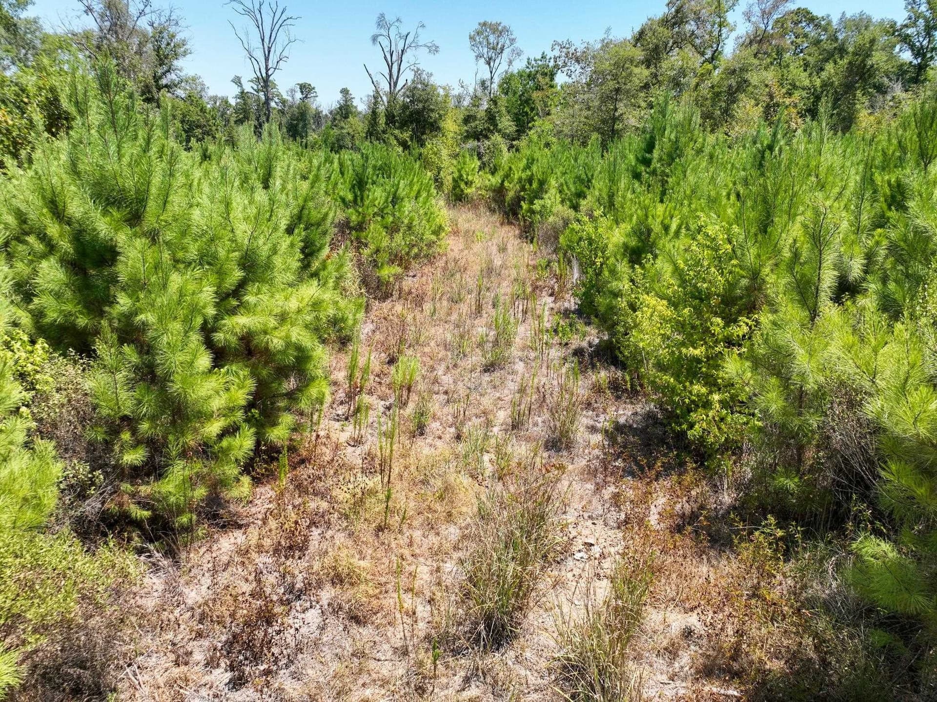 30 acres in Texas County - photo 9