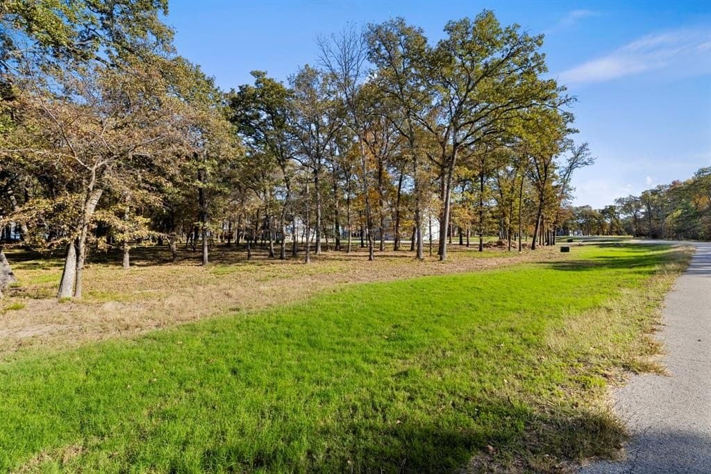 1 acres in Hunt County - photo 11