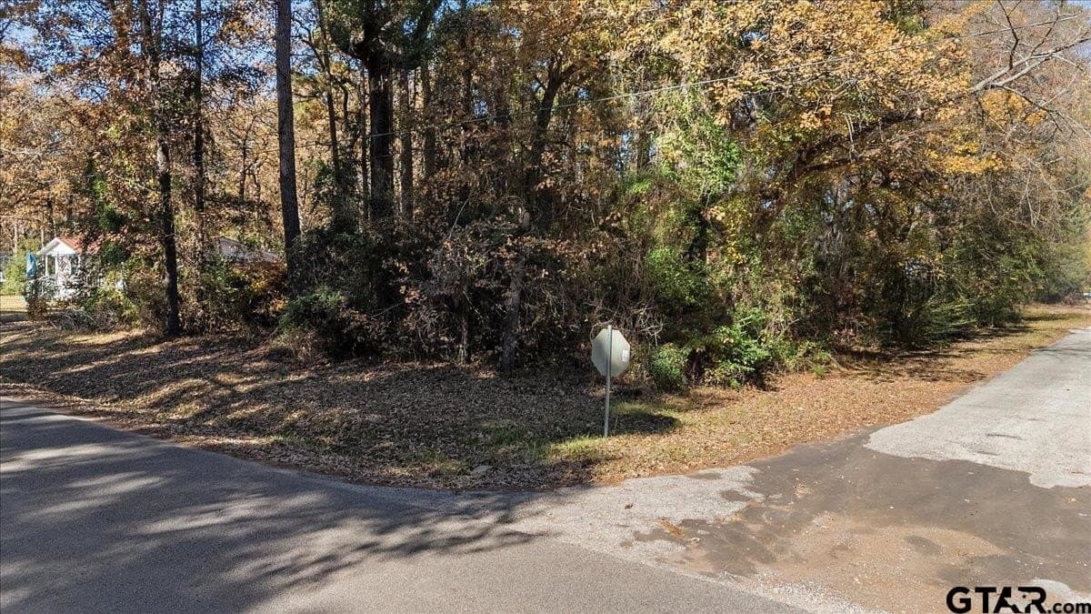 0.19 acres in Cherokee County - photo 2