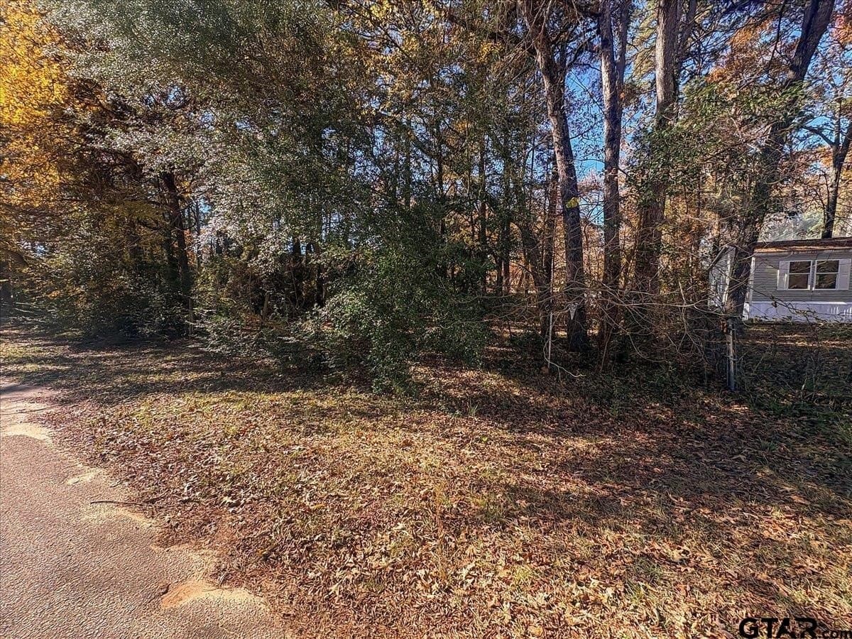 0.19 acres in Cherokee County - photo 5