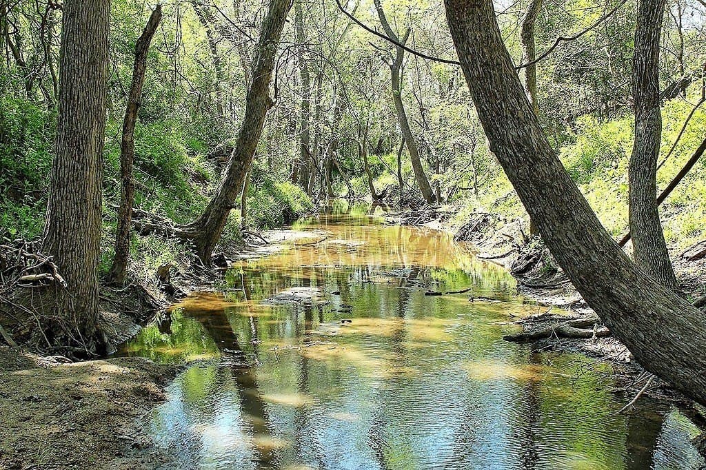 33.6 acres in Colorado County - photo 3