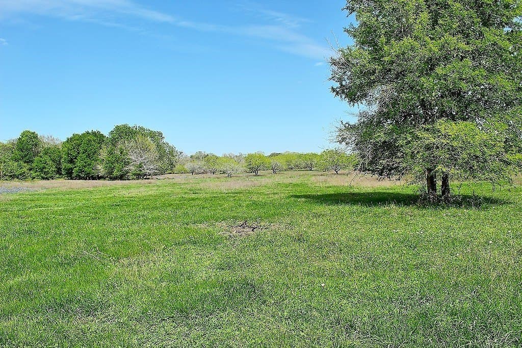 33.6 acres in Colorado County - photo 13