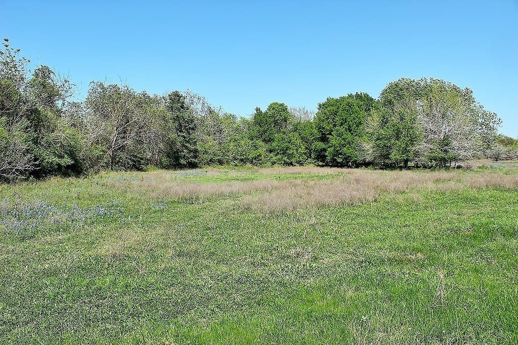 33.6 acres in Colorado County - photo 16