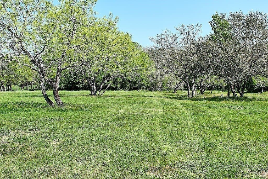 33.6 acres in Colorado County - photo 2