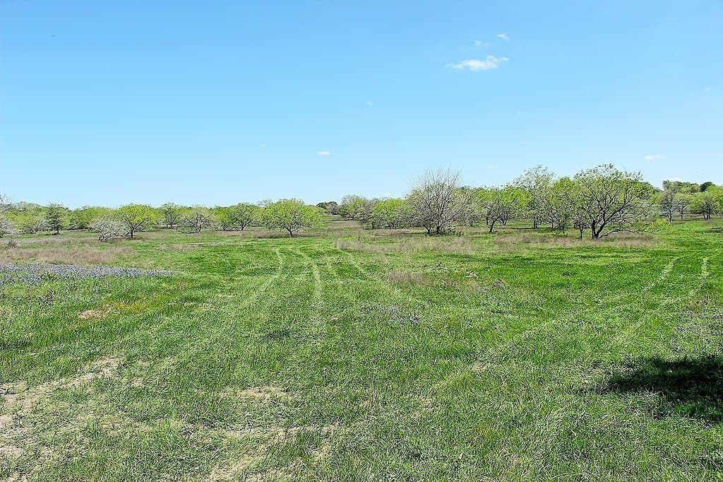 33.6 acres in Colorado County - photo 5