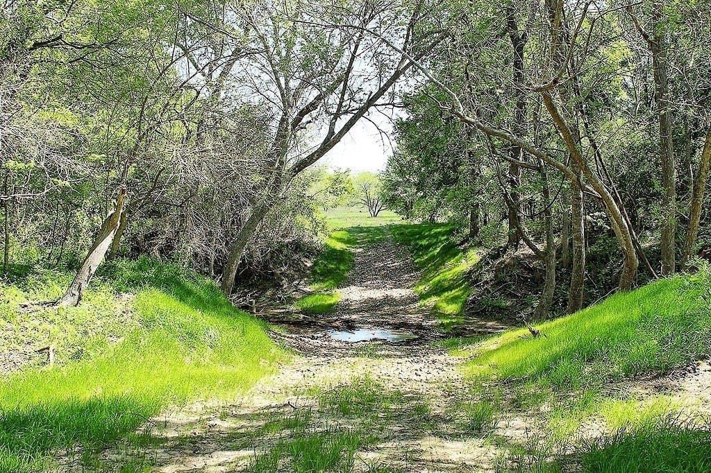 33.6 acres in Colorado County - photo 10