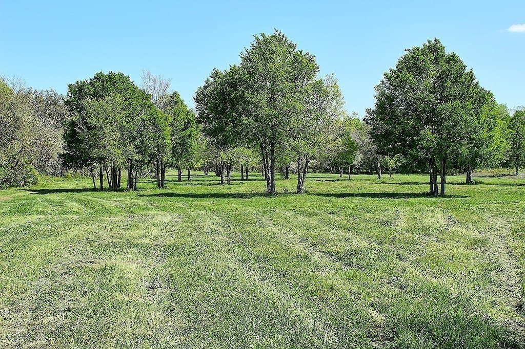 33.6 acres in Colorado County - photo 12