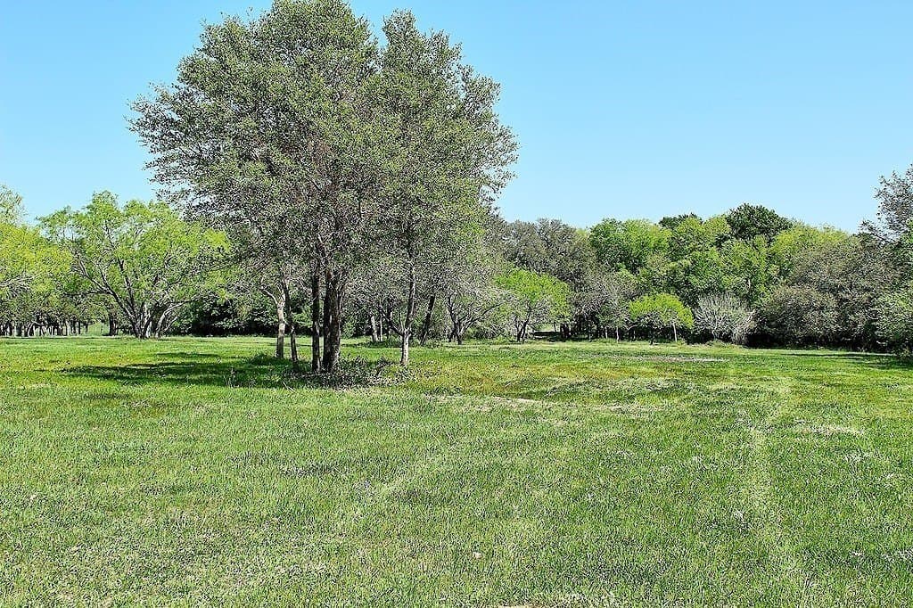 33.6 acres in Colorado County - photo 6