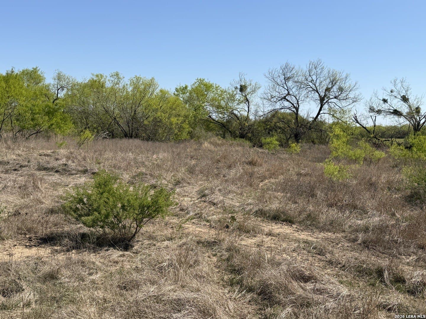 10 acres in Bexar County - photo 35