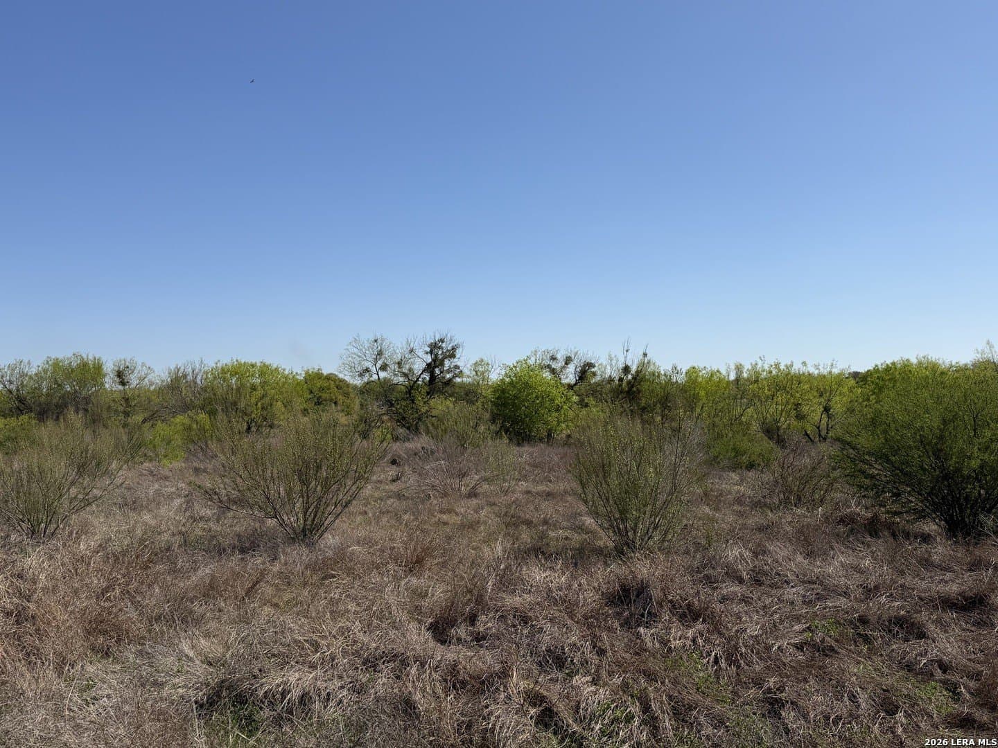 10 acres in Bexar County - photo 17