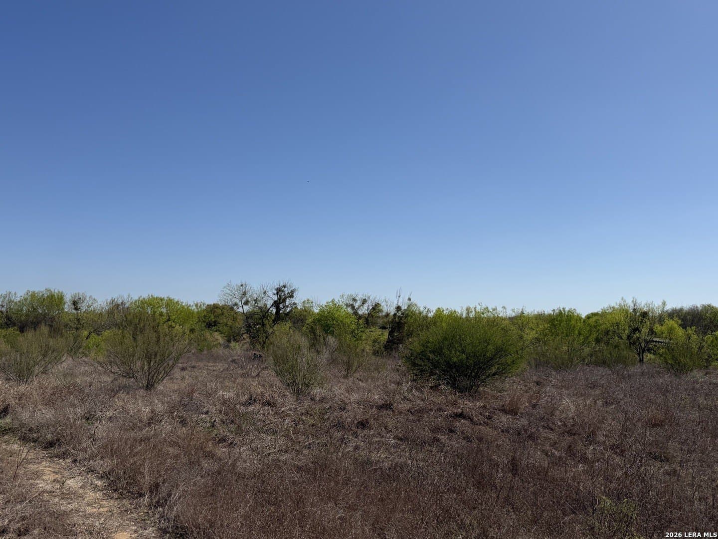 10 acres in Bexar County - photo 13