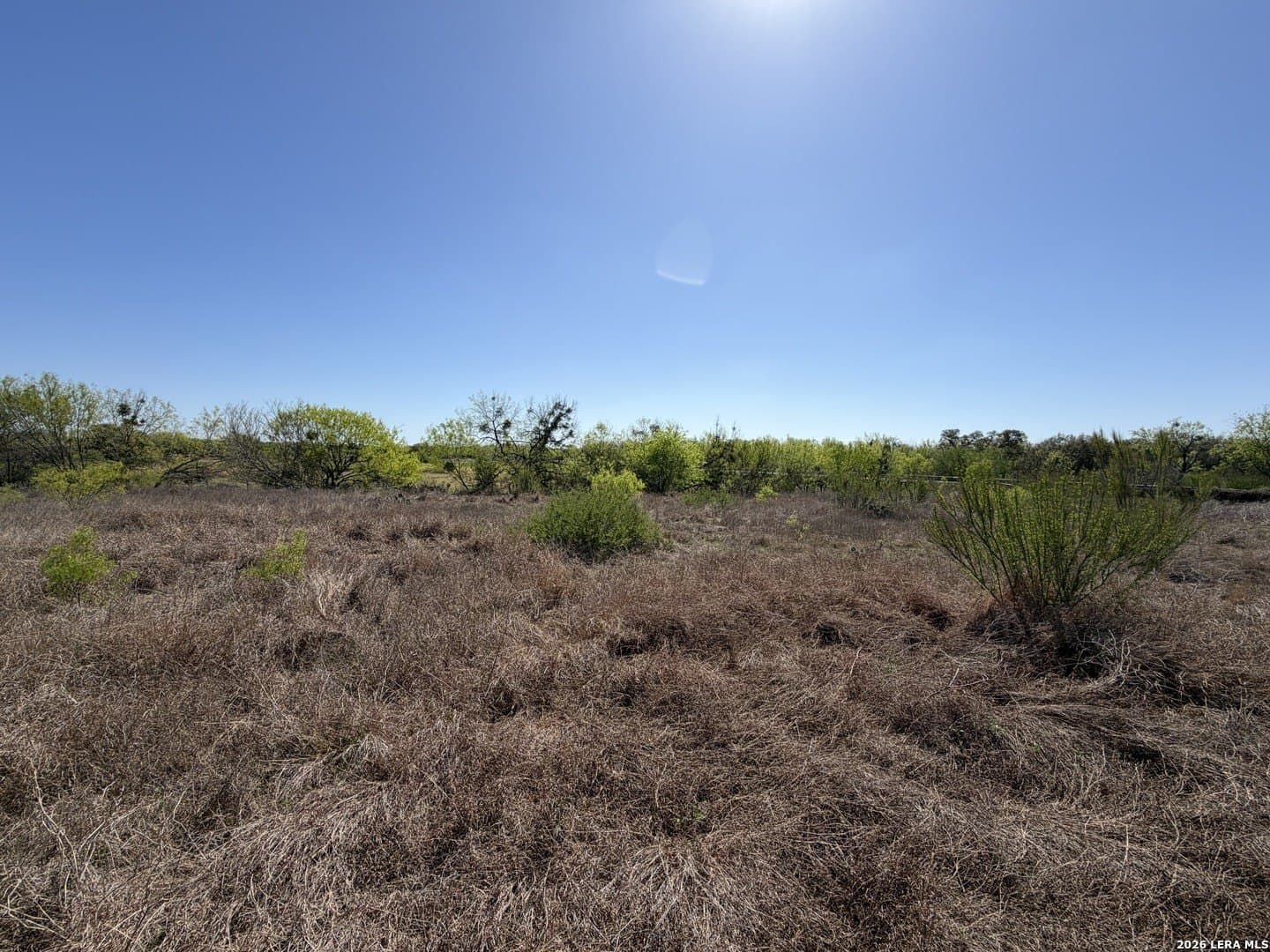 10 acres in Bexar County - photo 22