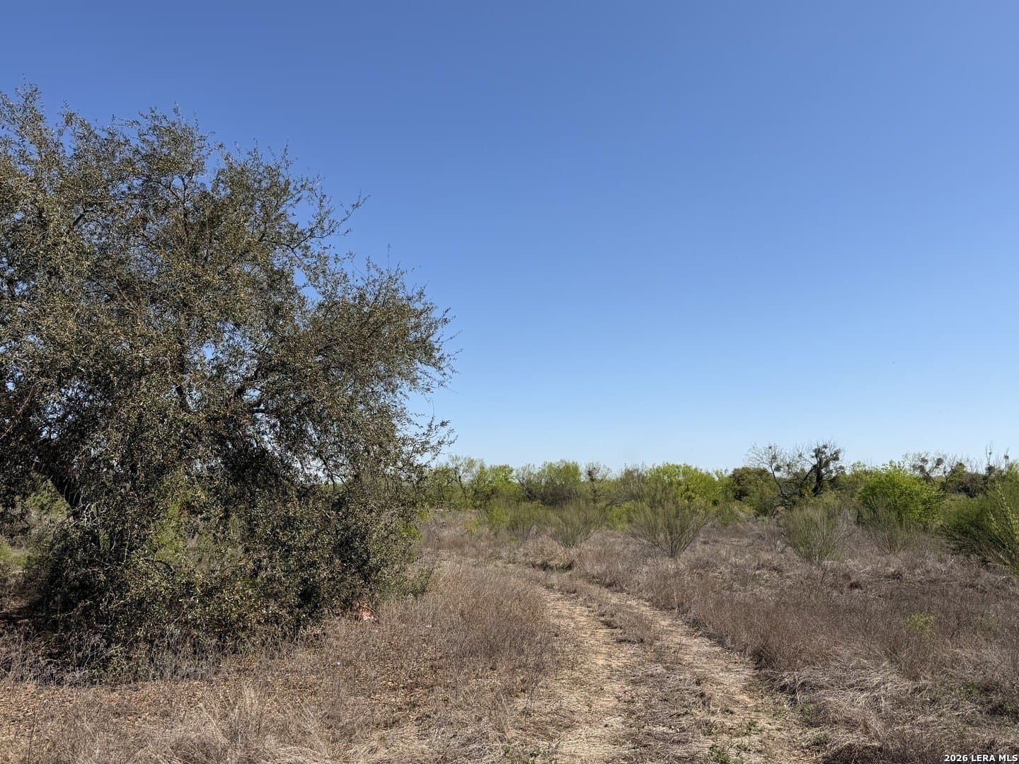 10 acres in Bexar County - photo 7