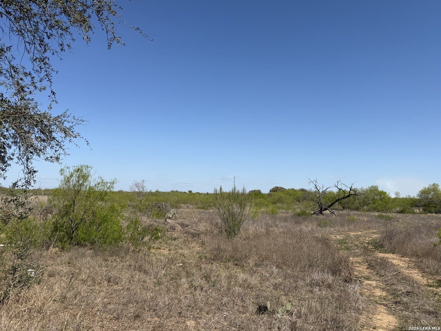 10 acres in Bexar County - photo 16