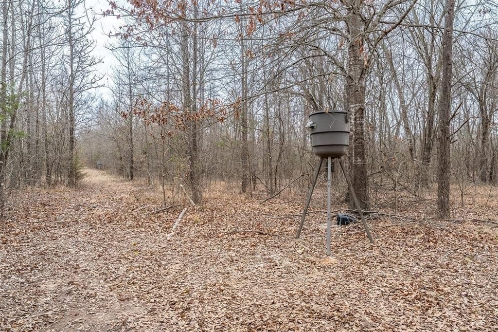 36.42 acres in Franklin County - photo 38