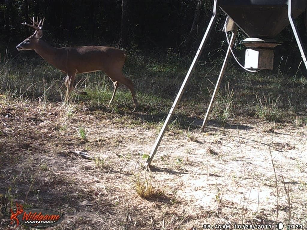 36.42 acres in Franklin County - photo 39