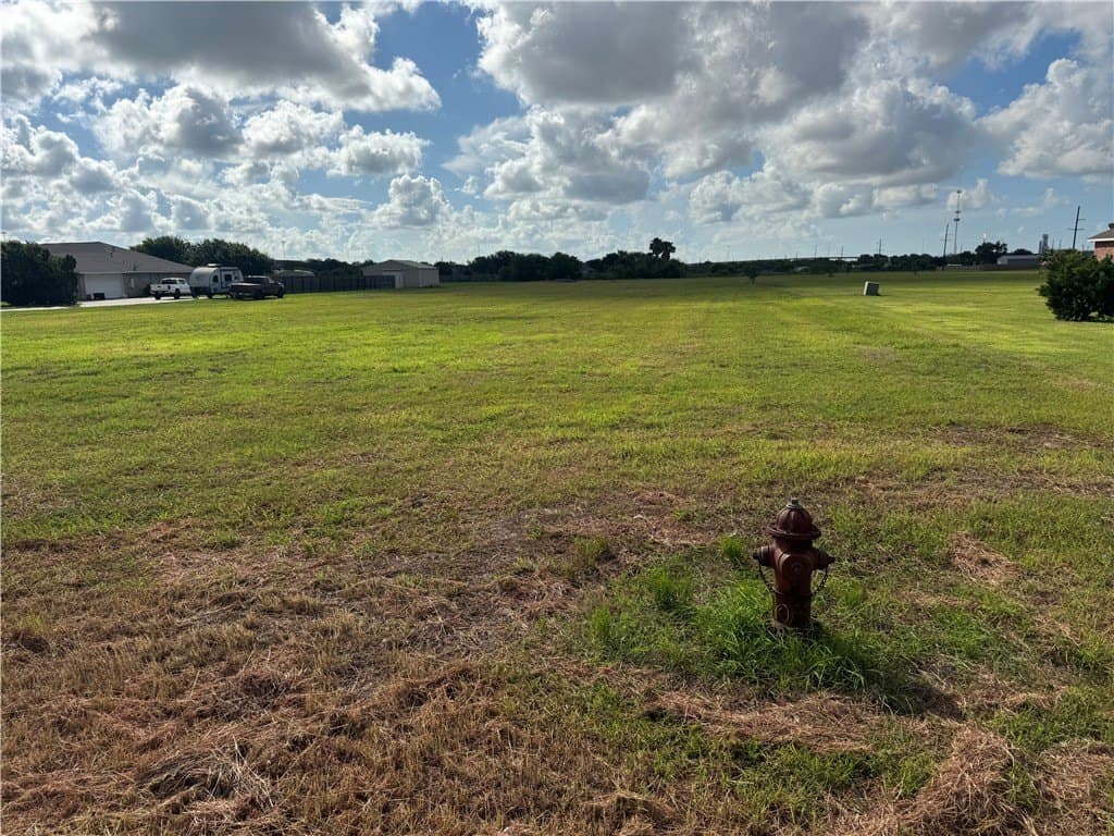 2.5 acres in San Patricio County - photo 2